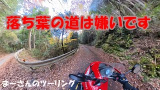 滝を見に行ったけど見れなかったツーリング【ドゥカティ ムルティストラーダ】
