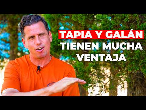 Paquito opens up: Withdrawal, Tapia, N1, Galan… - el4Set