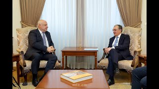 Foreign Minister Mnatsakanyan received George Tsereteli, the President of the OSCE Parliamentary Assembly