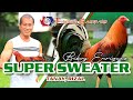 FARM VISIT: SUPER SWEATER - of Mr. Biboy Enriquez FIREBIRD GF