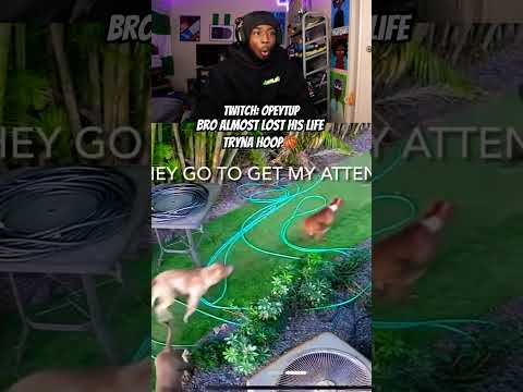 YouTube Thumbnail