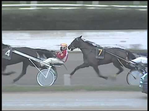 Trotto 01/02/2015 - 5° Corsa