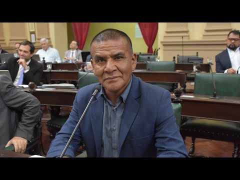 SENADOR DANI NOLASCO - CARTA ORGANICA DE EL GALPON