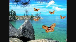 Neon Philharmonic Morning Girl and Morning Girl Later  WB Seven Arts