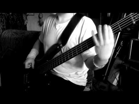 Limp Bizkit - Rollin [bass cover]