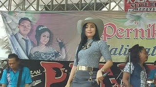 Download lagu Acha Kumala - Kenyataan - new PANTURA 4 Juli 2017 mp3 Download lagu Acha Kumala - Kenyataan - new PANTURA 4 Juli 2017 mp3