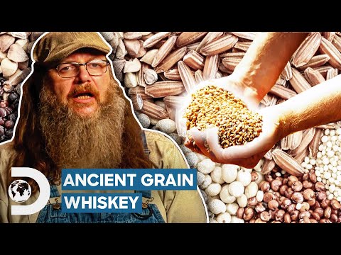 Ancient Grain Whiskey STUNS The Judges! | Moonshiners: Master Distiller