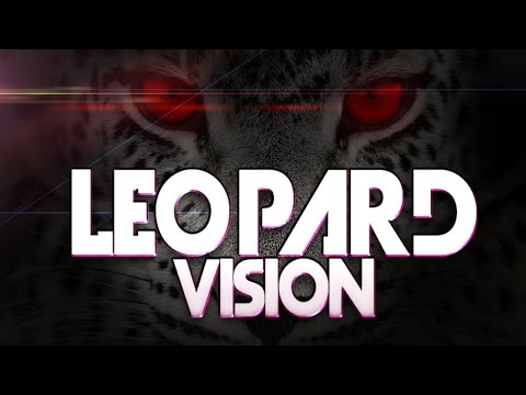 LEOPARD VISION  (VOL.1)