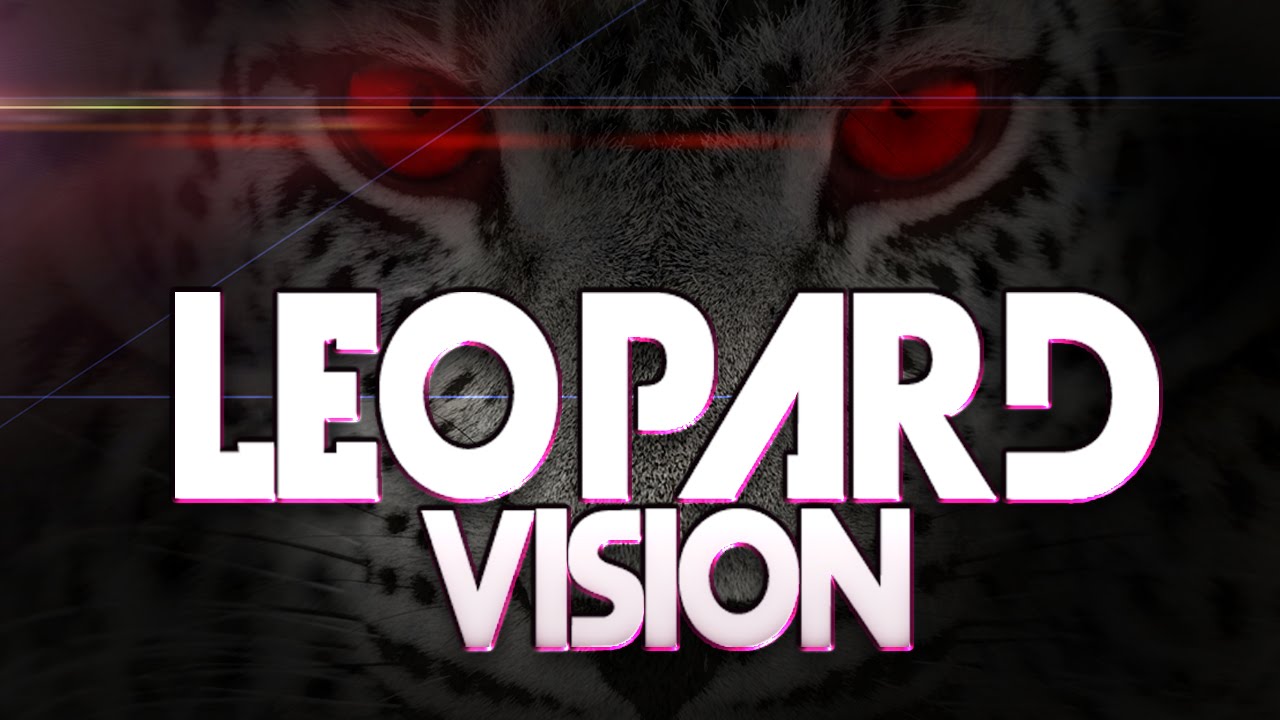 LEOPARD VISION (VOL.1)