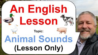 Let's Learn English! Topic: Animal Sounds! 🐄🐖🦆 (Lesson Only)