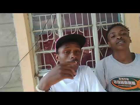 Zimeshika zimeroria freestyle