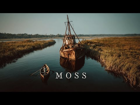 Esta película es apasionante desde el primer minuto | Es una buena película para la noche