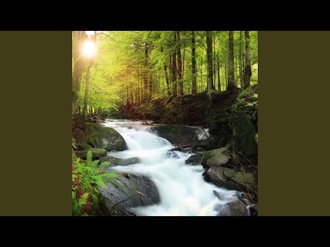 Calm Beyond the Stars