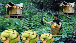From Seed to Harvest in 6 Months: Off-Grid Cucumber Gardening Journey