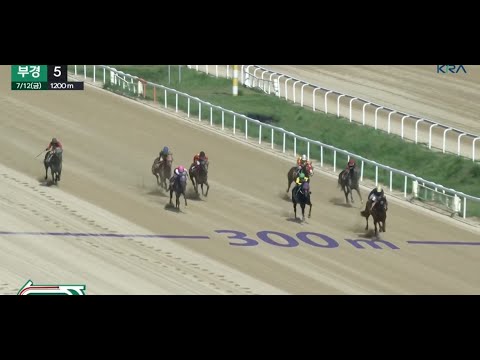 6/22-김남성/-딱한마리-,경마예상방송