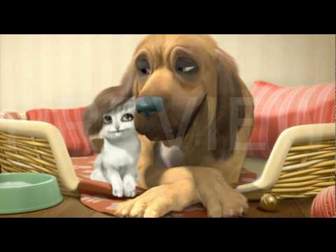 Cat and Dog - Wenn ich an dich denk
