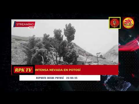 INTENSA NEVADA EN POTOSÍ