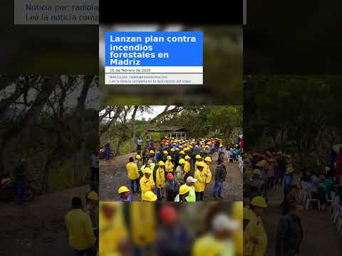 Lanzan plan contra incendios forestales en Madriz
