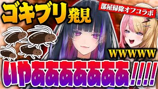 【※音量注意】汚部屋を掃除中にゴキブリに遭遇し悲鳴を上げまくるメロコとひたすら爆笑するコトカ【にじさんじEN 翻訳切り抜き】【狂蘭 メロコ/虎姫 コトカ】