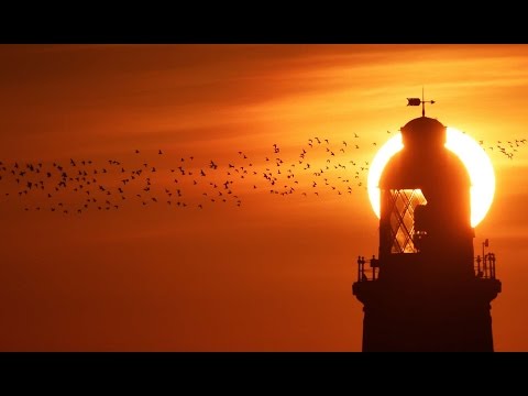 Boom Jinx Feat. Justine Suissa - Phoenix From The Flames (Omnia & The Blizzard Remix)