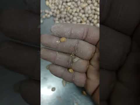 native na mani ang liliit | @jan4nine