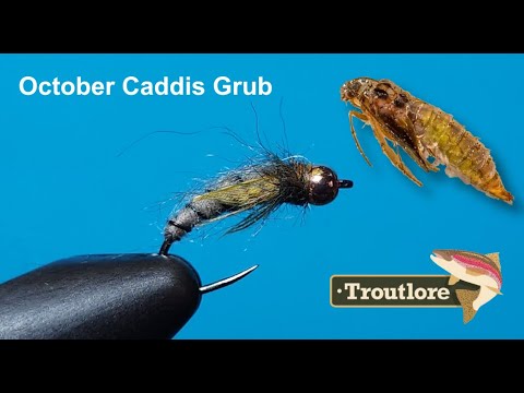 October Caddis Grub Fly Pattern - Troutlore Fly Tying #flytying