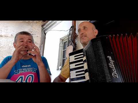 Vlasko kolo Novica Djordjević frula - Rajko Veličković harmonika.