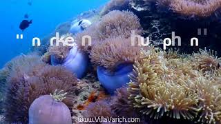 preview picture of video 'Snorkeling Chumphon, RanPet Island on June-18'