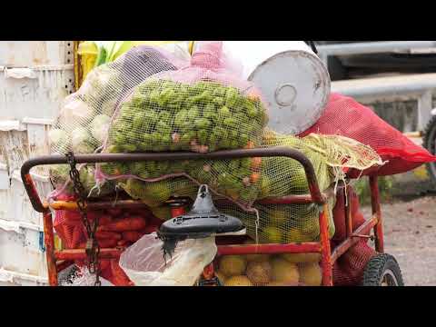 Why has the Price of Vegetables Gone up?