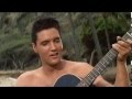 ELVIS PRESLEY No More in Blue Hawaii (Hanauma.