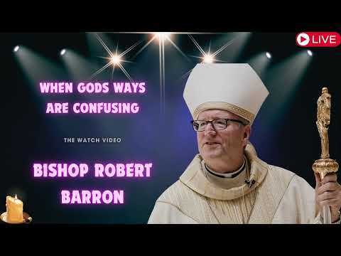 When Gods Ways Are Confusing   Bishop Barron's Sunday Sermon