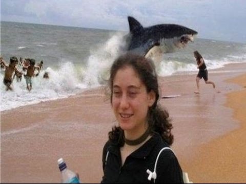 Top 5 Shark Attack Beaches