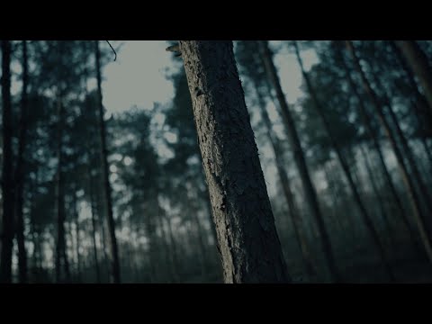 EMKATUS  X SOMAI - 5LUTY