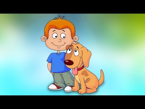 El pobre perro vagabundo | audio cuento infantil