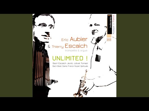 Variations grégoriennes sur un Salve Regina