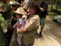 For Mr Steve Irwin