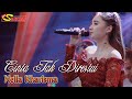 Nella Kharisma - CINTA TAK DIRESTUI _ dipopulerkan oleh Kadal Band Nella Kharisma - CINTA TAK DIRESTUI _ dipopulerkan oleh Kadal Band