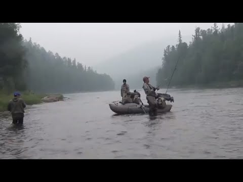 Девственная тайга рыбалка на тайменя ленка хариуса и сплав река охота лес поход лес Медведь Сибирь