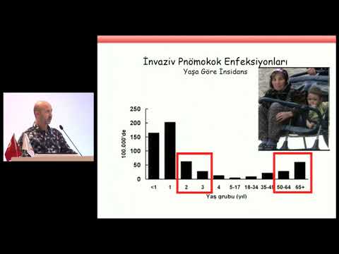 17 pnomokok asisi (Erişkin Bağışıklama Akademisi)