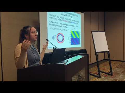 Cosyne 2020 Workshops - Grace Lindsay - Merging neural circuit models with deep learning