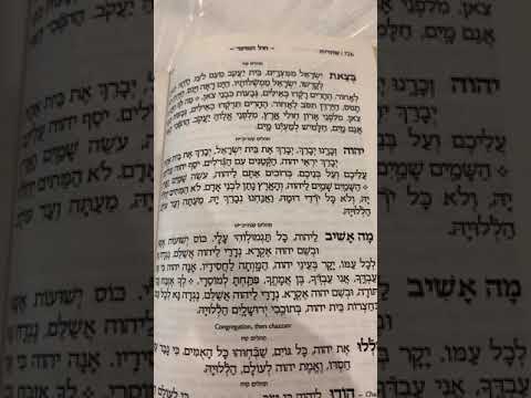 Chazan Nathan Gluck Btzais Yisroel mimitzrsyim #1
