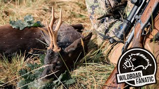Mit Christian auf Schwarze | Die ersten Minuten #huntondemand #blackroebuck #schwarzerrehbock