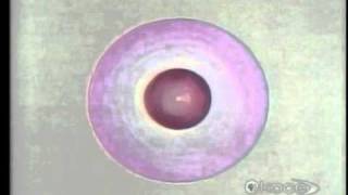 &Tau;&alpha; &Eta;&lambda;&epsilon;&kappa;&tau;&rho;ό&nu;&iota;&alpha;