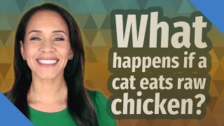 What happens if a cat eats raw chicken?
