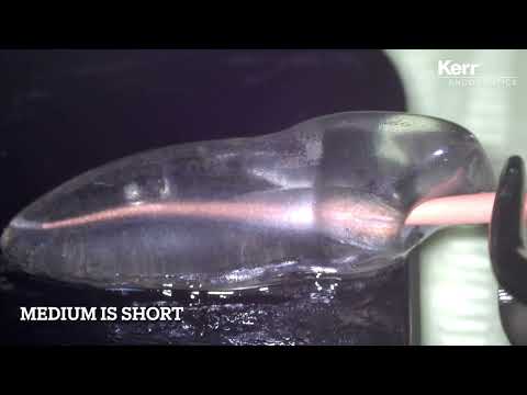 ZenFlex - Master cone adjustment using auto-fit gutta percha