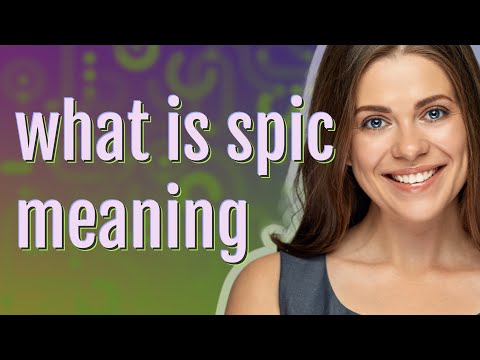 Spic | meaning of Spic