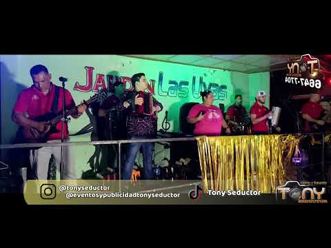 EDUAR VERGARA - NO DEJAMOS DE QUERERNOS (EN VIVO) LOS TIGRES MUSICALES