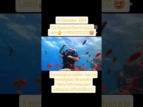 🌟 gita Isola bianca o Isola che non c'è o maldive Egitto Ogni giorno Dalle 8:00 mattina Alle 16:45 👇 - Video 3