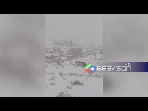 Emergencia ganadera por nevadas extremas en Potosí. Temporal en la provincia Sud Lípez .