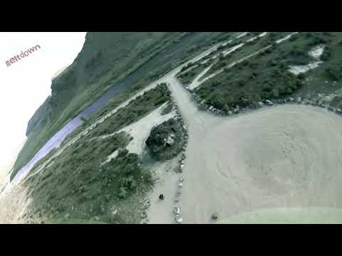 The Snake and The Swan